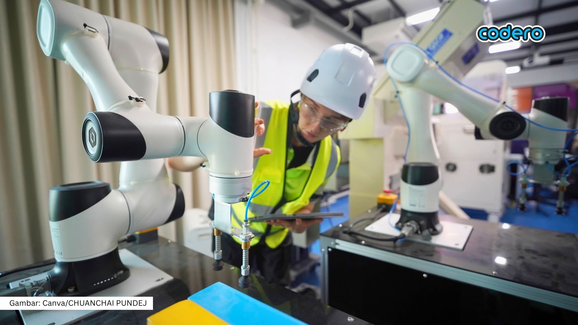 Learning from Developed Countries: Robotics Is the Key to Indonesia’s Success in 2030