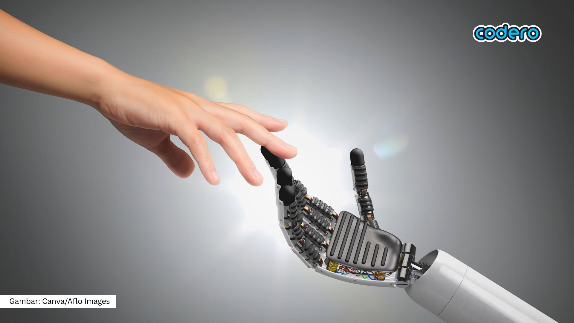 5 Alasan Mengapa Jepang Menjadi Kiblat Teknologi Robotik Dunia