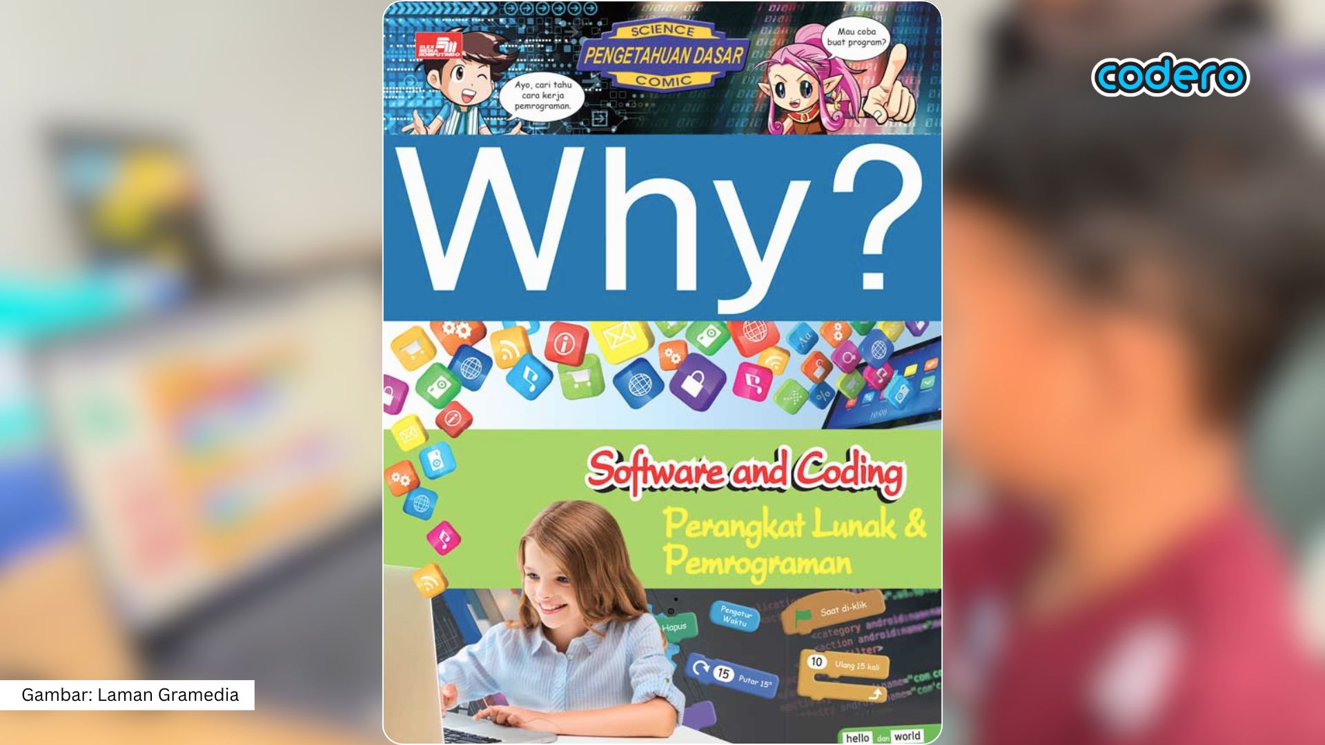 Cover buku Why Software dan Coding