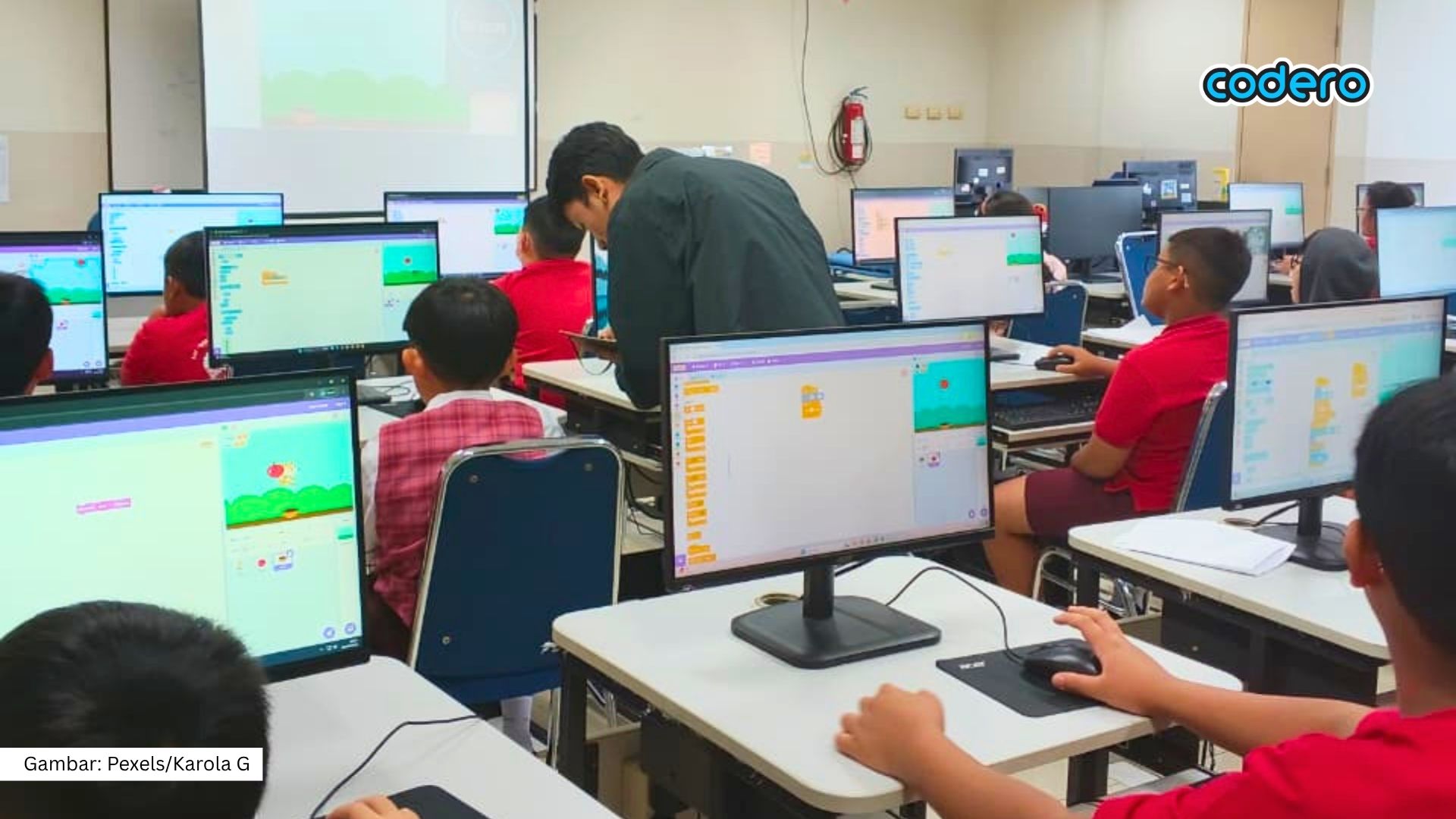 Coding vs. Programming: Often Thought to Be the Same, but Here’s the Difference!