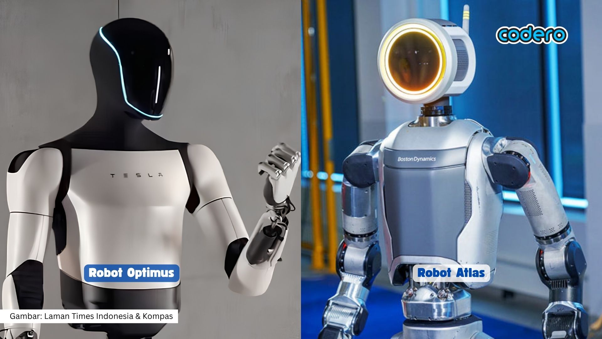 4 Alasan Mengapa Robot Masa Kini Semakin Canggih dan Pintar | Robot Atlas dan Optimus